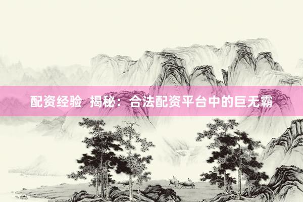 配资经验  揭秘：合法配资平台中的巨无霸