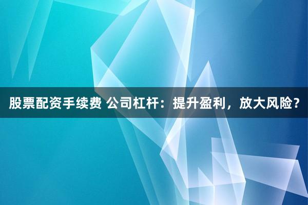股票配资手续费 公司杠杆：提升盈利，放大风险？