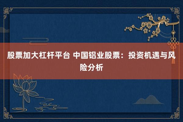 股票加大杠杆平台 中国铝业股票：投资机遇与风险分析