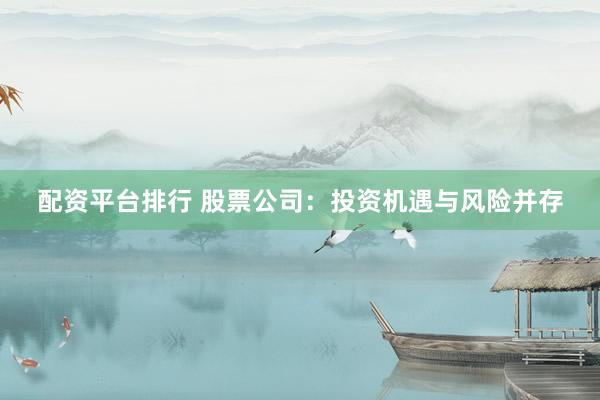 配资平台排行 股票公司：投资机遇与风险并存