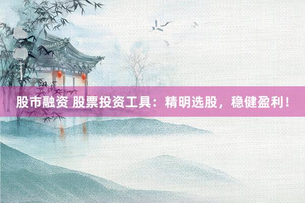 股市融资 股票投资工具：精明选股，稳健盈利！