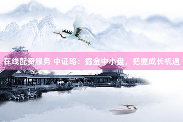 在线配资服务 中证略：掘金中小盘，把握成长机遇