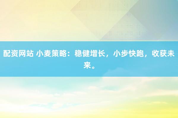 配资网站 小麦策略：稳健增长，小步快跑，收获未来。