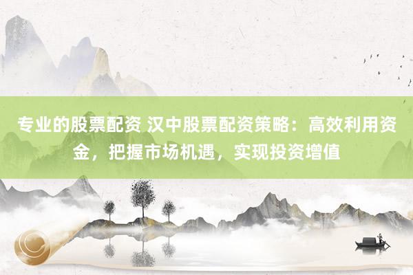 专业的股票配资 汉中股票配资策略：高效利用资金，把握市场机遇，实现投资增值