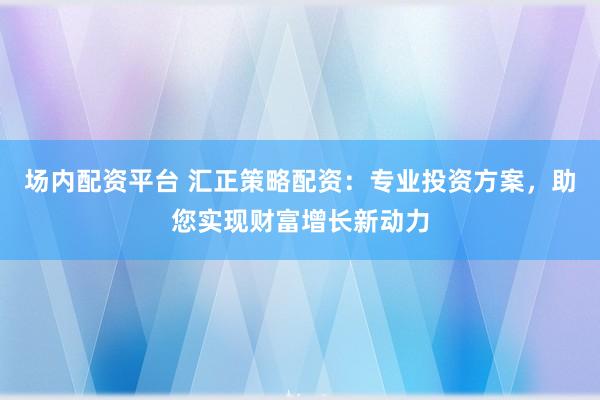 场内配资平台 汇正策略配资：专业投资方案，助您实现财富增长新动力
