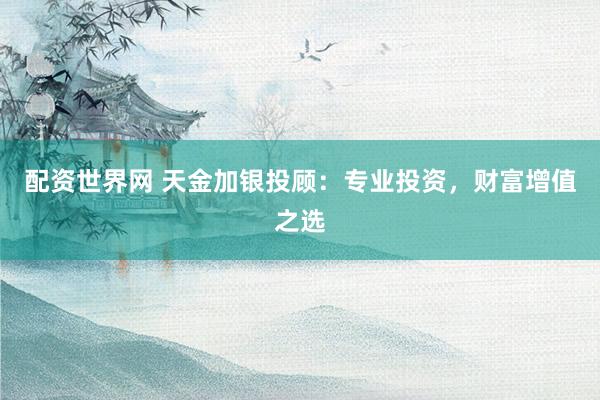 配资世界网 天金加银投顾：专业投资，财富增值之选