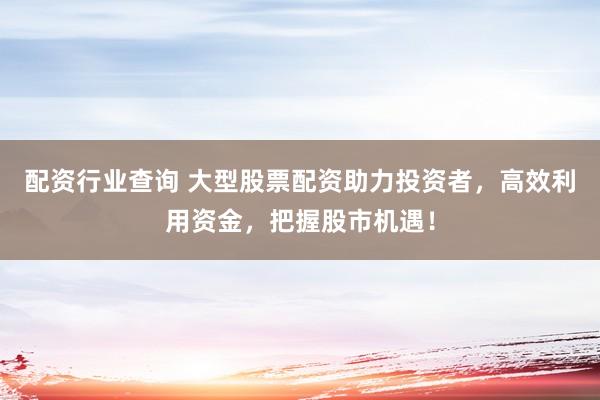 配资行业查询 大型股票配资助力投资者，高效利用资金，把握股市机遇！