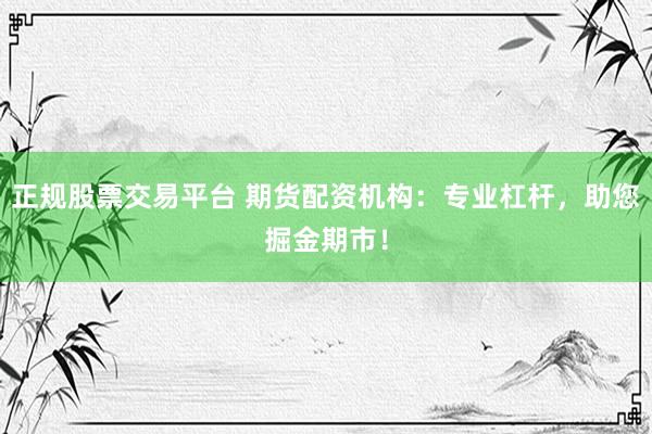 正规股票交易平台 期货配资机构：专业杠杆，助您掘金期市！