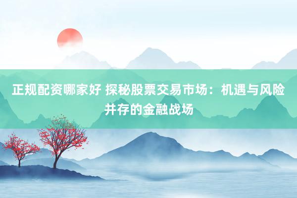 正规配资哪家好 探秘股票交易市场：机遇与风险并存的金融战场