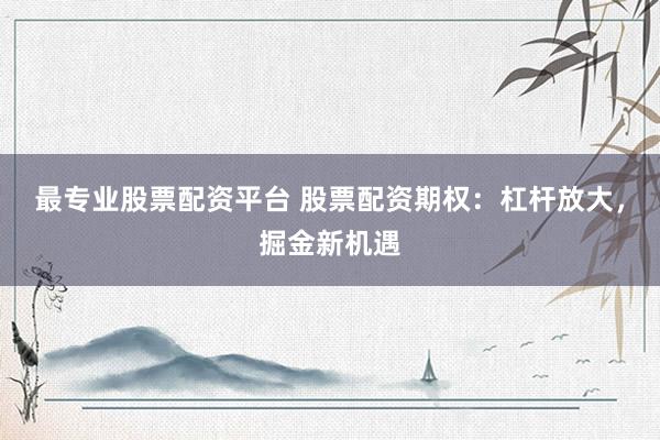 最专业股票配资平台 股票配资期权：杠杆放大，掘金新机遇