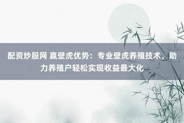配资炒股网 赢壁虎优势：专业壁虎养殖技术，助力养殖户轻松实现收益最大化