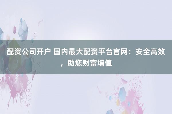 配资公司开户 国内最大配资平台官网：安全高效，助您财富增值