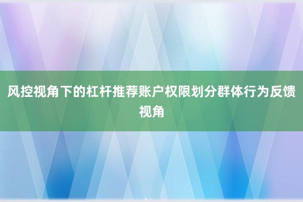 风控视角下的杠杆推荐账户权限划分群体行为反馈视角