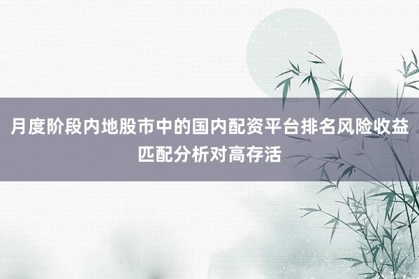 月度阶段内地股市中的国内配资平台排名风险收益匹配分析对高存活