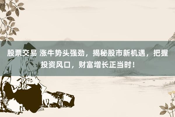股票交易 涨牛势头强劲，揭秘股市新机遇，把握投资风口，财富增长正当时！