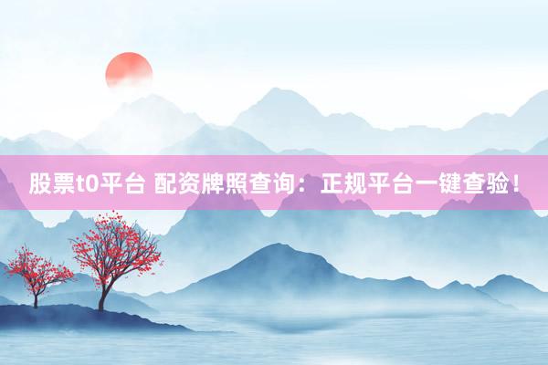 股票t0平台 配资牌照查询：正规平台一键查验！