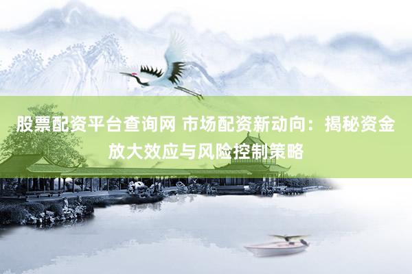 股票配资平台查询网 市场配资新动向：揭秘资金放大效应与风险控制策略